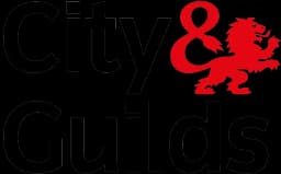 City and Guilds qualified plumber badge